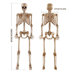 Haunt & Co 5.4ft Halloween Skeleton Decorations, Weathered Posable Skeleton Decor for Outdoor Indoor