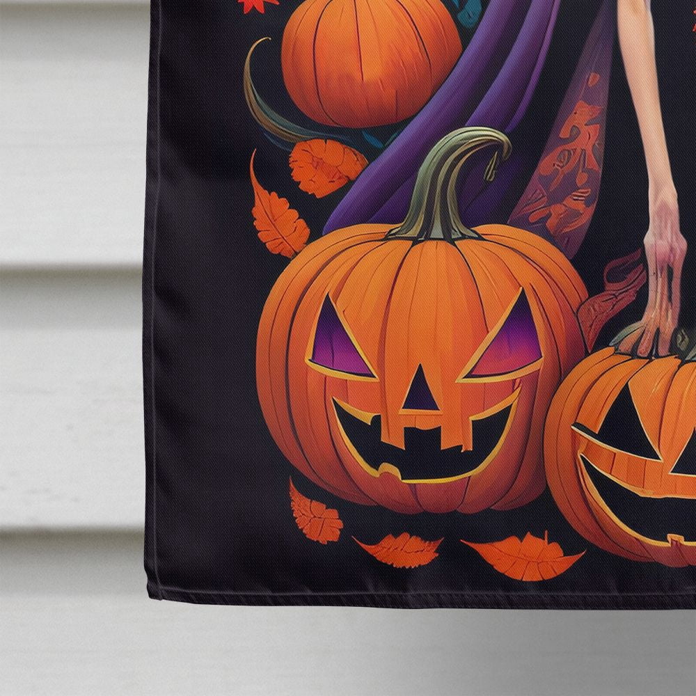 Haunt & Co Halloween Italian Greyhound Dog House Flag 28x40IN Double-Sided Polyester Decorative Sleeve Pole Flag