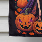 Haunt & Co Halloween Italian Greyhound Dog House Flag 28x40IN Double-Sided Polyester Decorative Sleeve Pole Flag