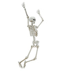 Haunt & Co Hanging Posable Skeleton Decoration, White, 5', Halloween