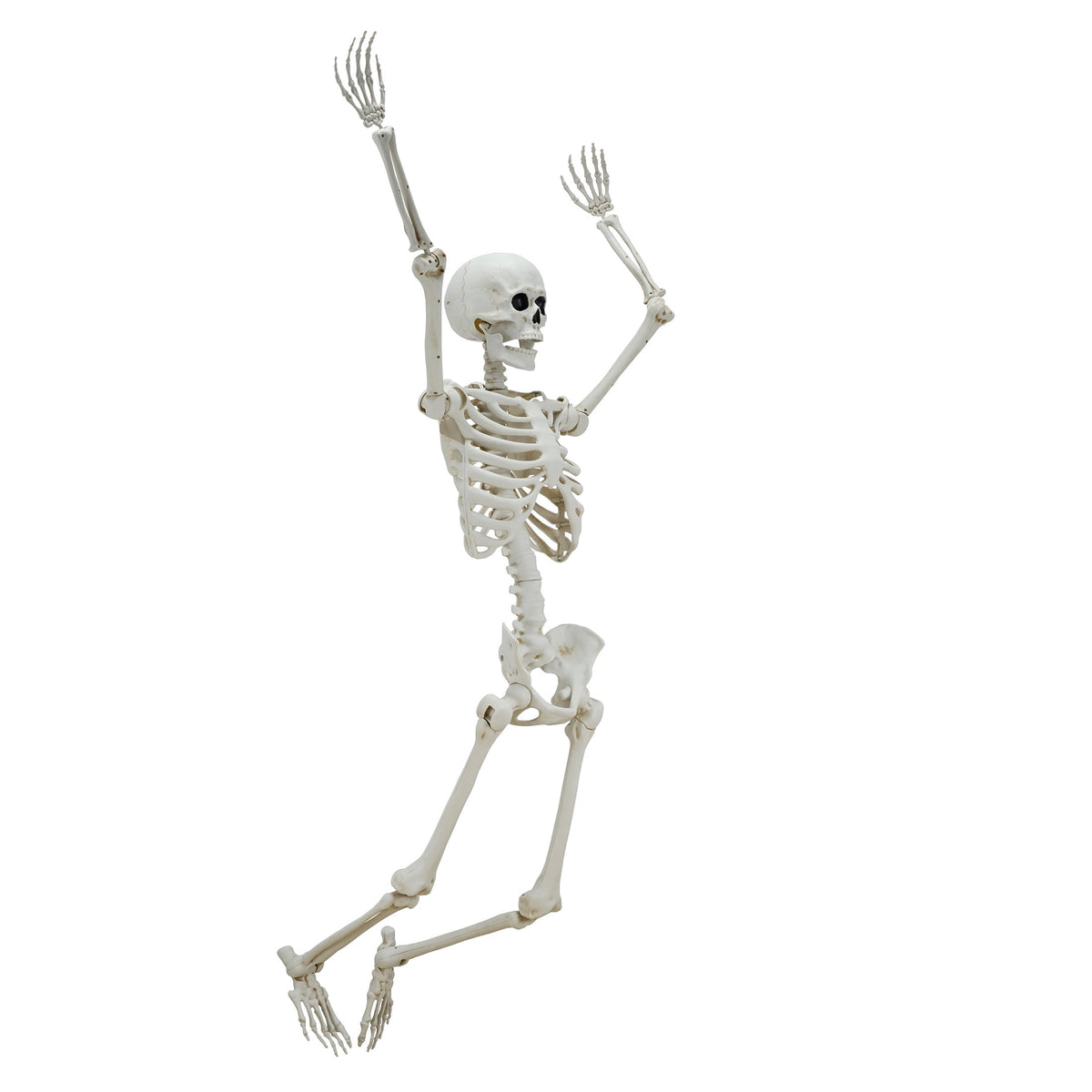 Haunt & Co Hanging Posable Skeleton Decoration, White, 5', Halloween