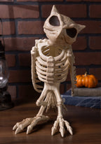 Haunt & Co USA Owl Skeleton - 13.5 in