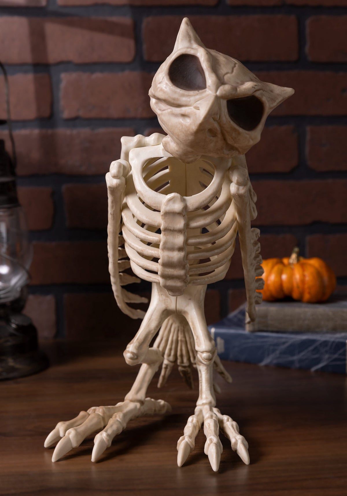 Haunt & Co USA Owl Skeleton - 13.5 in
