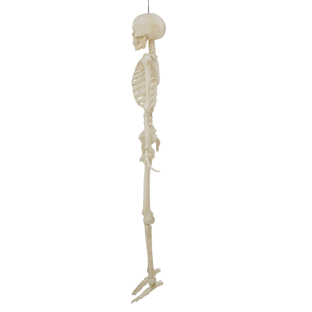 Haunt & Co 5-foot Poseable LED Illuminated Skeleton