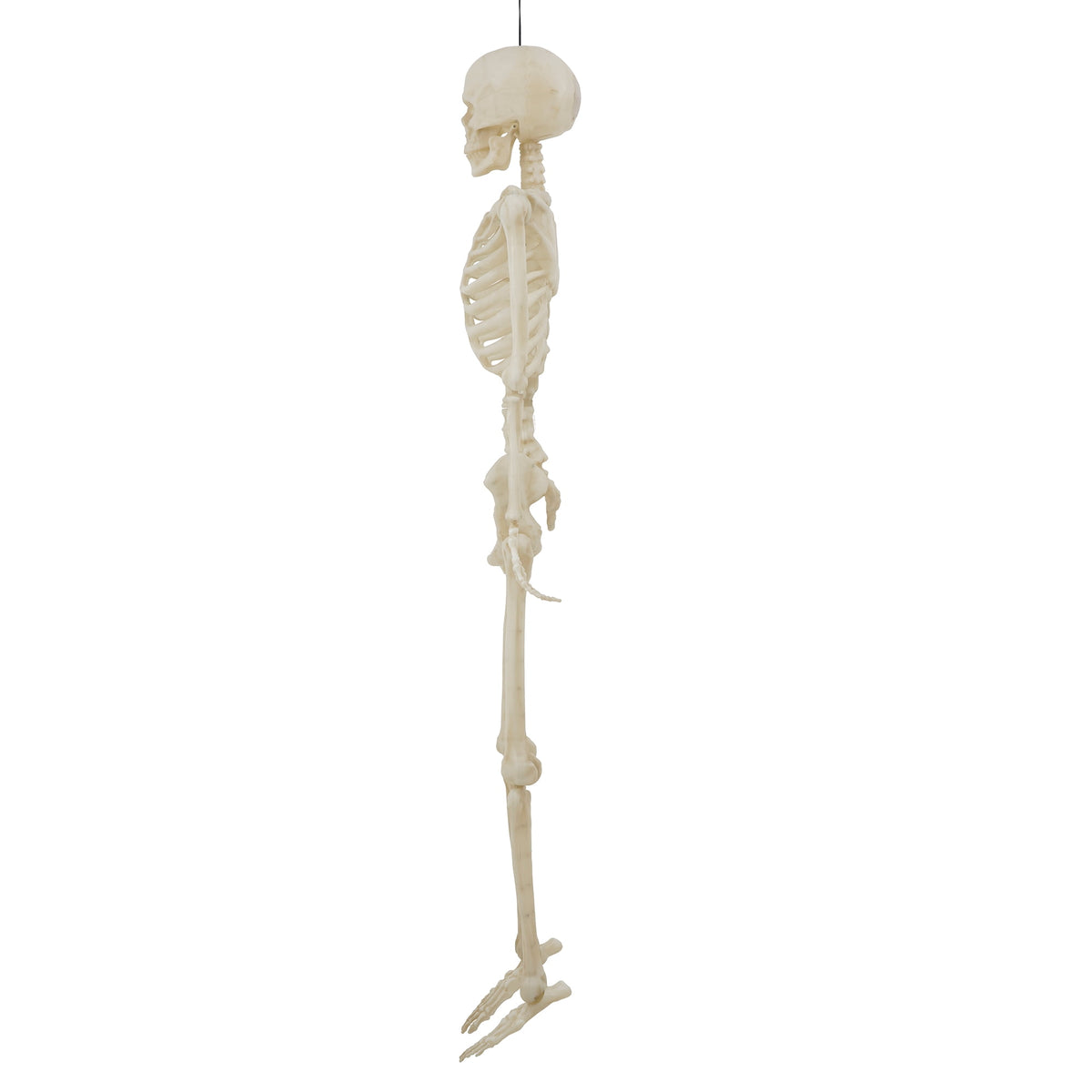 Haunt & Co 5-foot Poseable LED Illuminated Skeleton