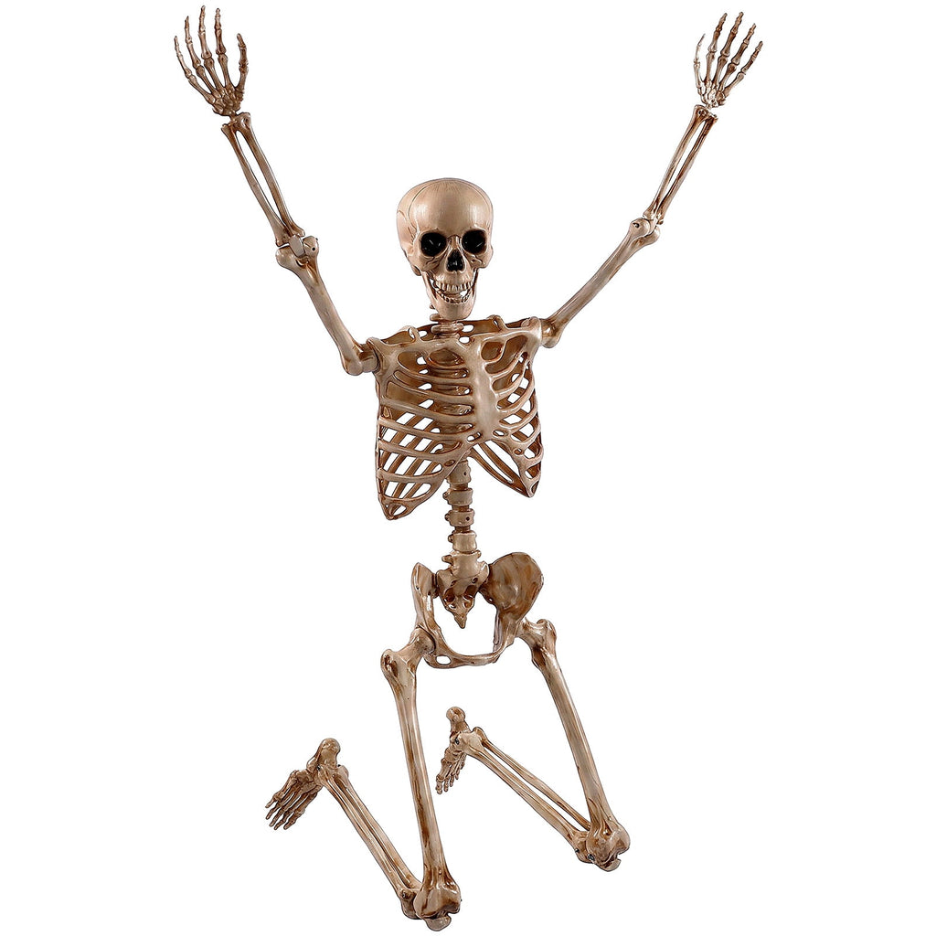 Haunt & Co 5.4ft Halloween Skeleton Decorations, Weathered Posable Skeleton Decor for Outdoor Indoor
