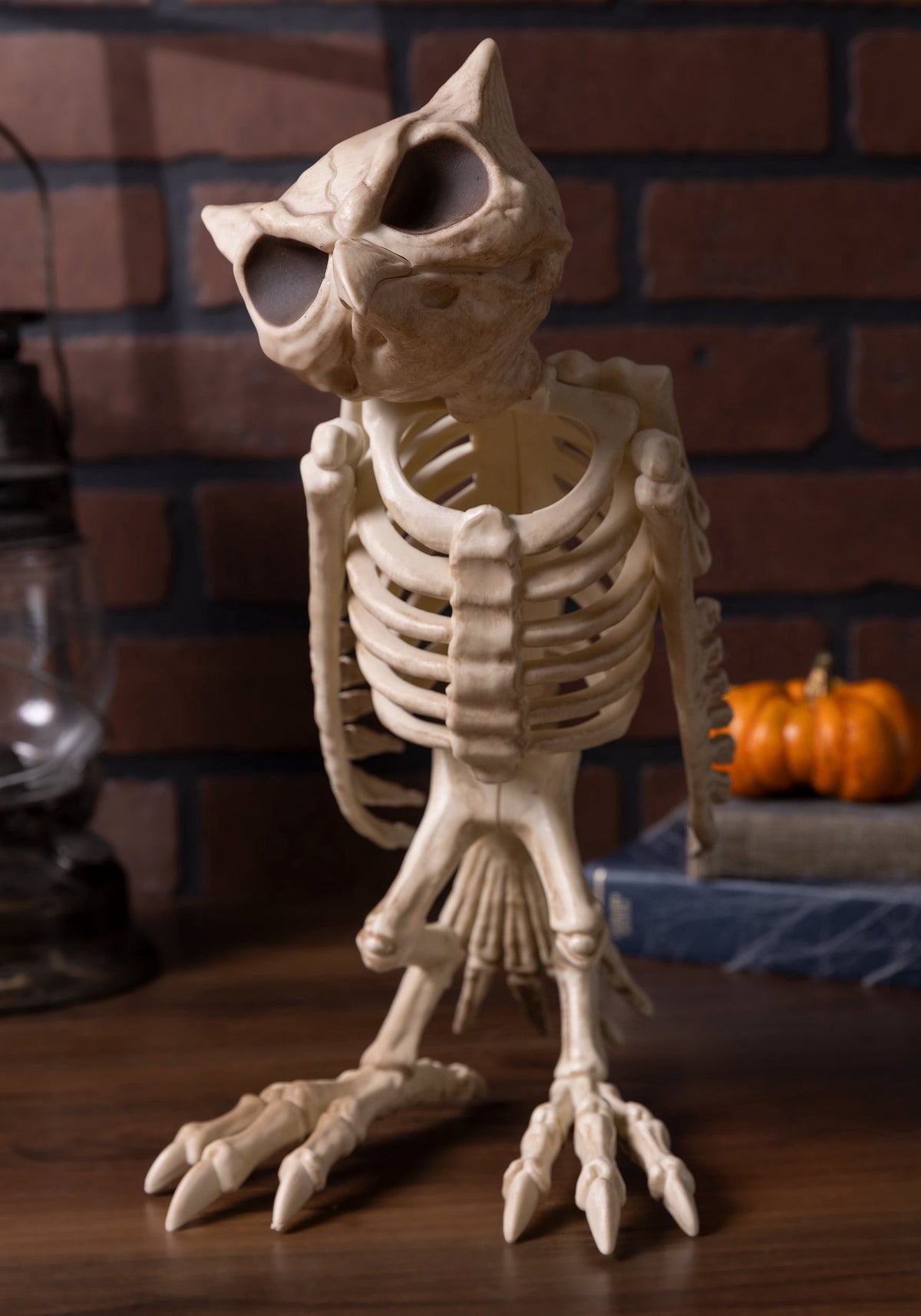 Haunt & Co USA Owl Skeleton - 13.5 in