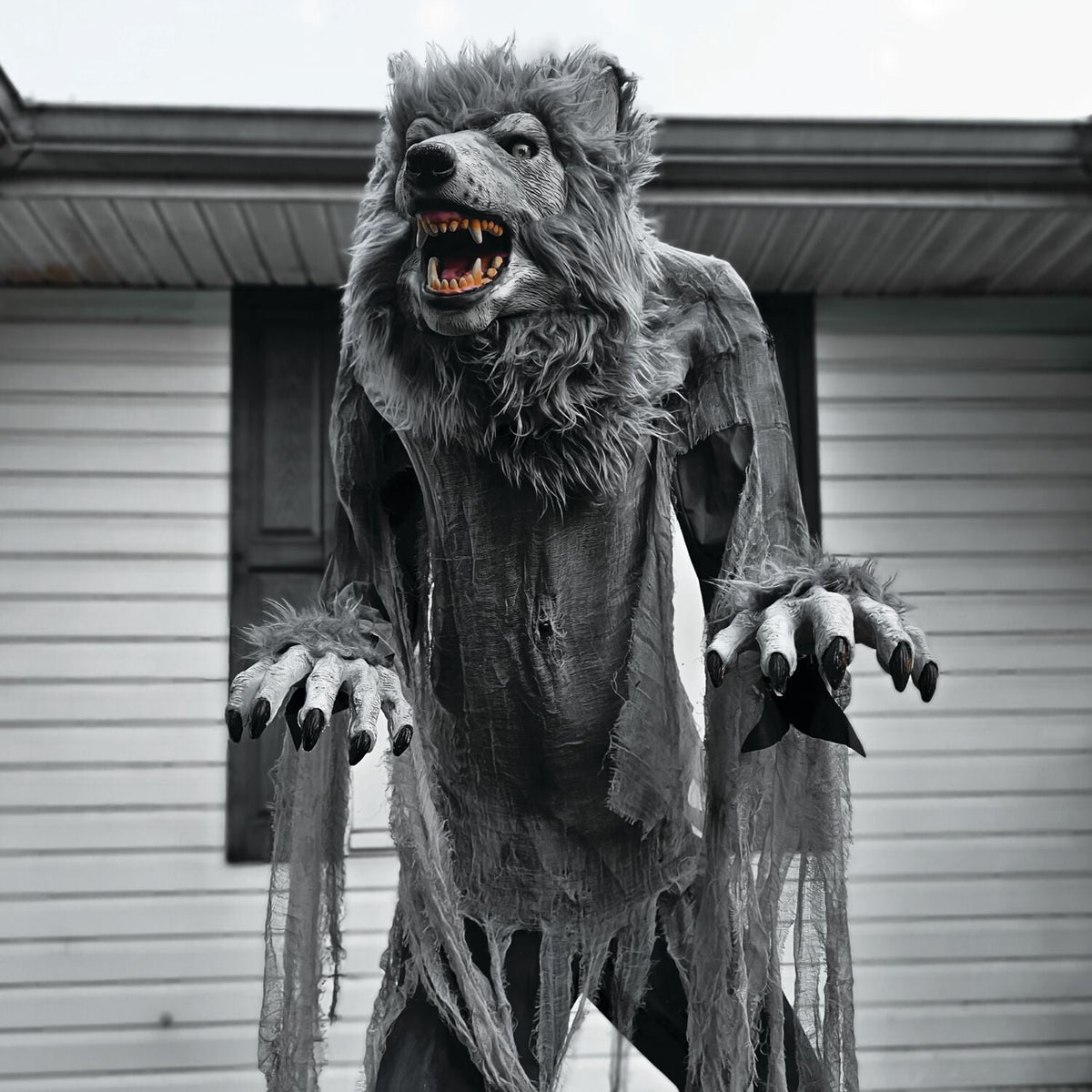 Haunt & Co 7 ft Tall Motion-Activated Towering Werewolf, Premium Halloween Animatronic, Plug-In