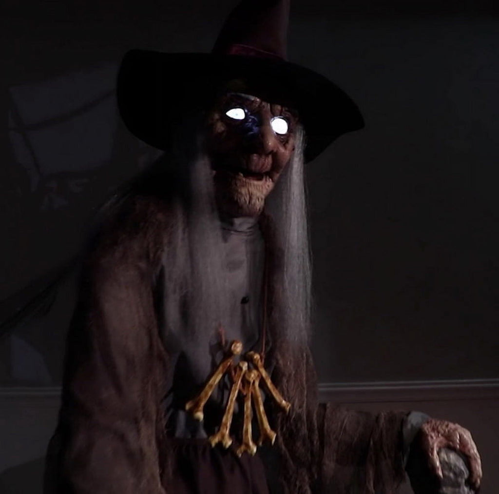 Haunt & Co Animated Witch Servo-Motor