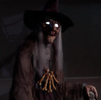 Haunt & Co Animated Witch Servo-Motor
