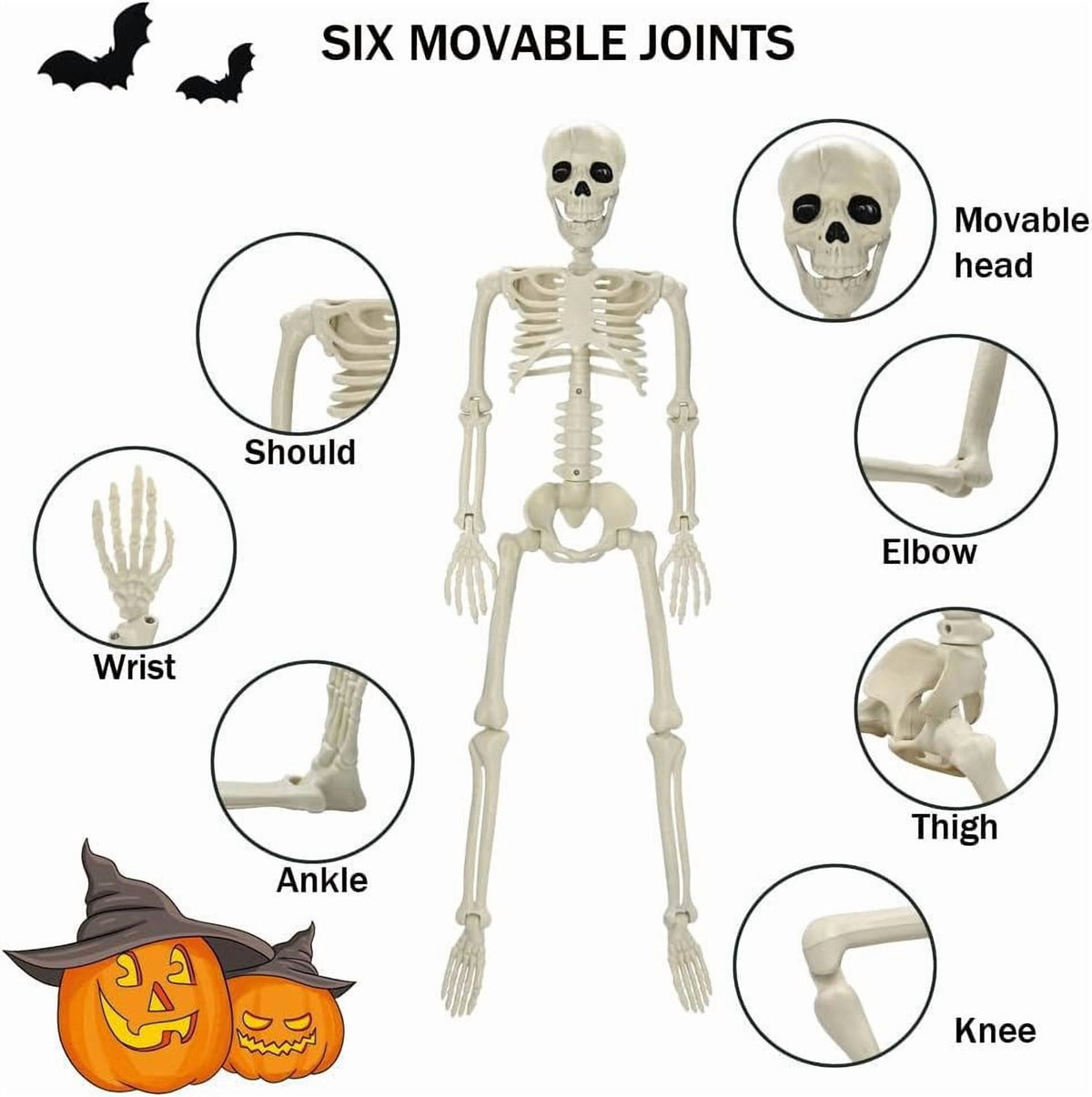 Haunt & Co 35" Halloween Skeleton Decoration - 3 ft Body with Posable Joints