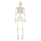 Haunt & Co 5-foot Poseable LED Illuminated Skeleton