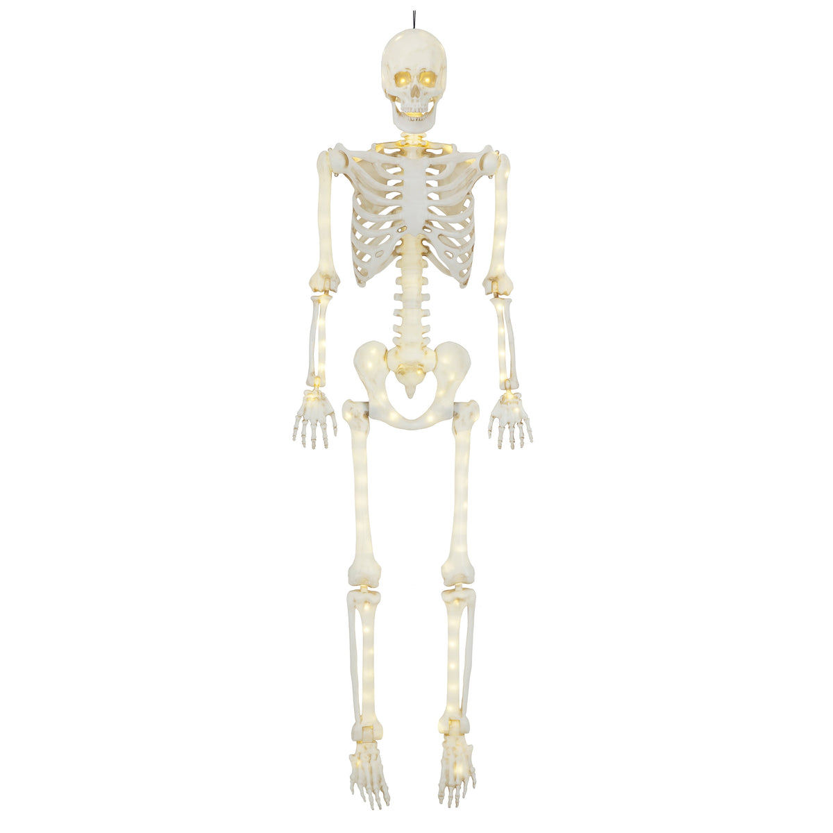 Haunt & Co 5-foot Poseable LED Illuminated Skeleton
