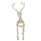 Haunt & Co LED Illuminated Deer Skeleton, 60-inch