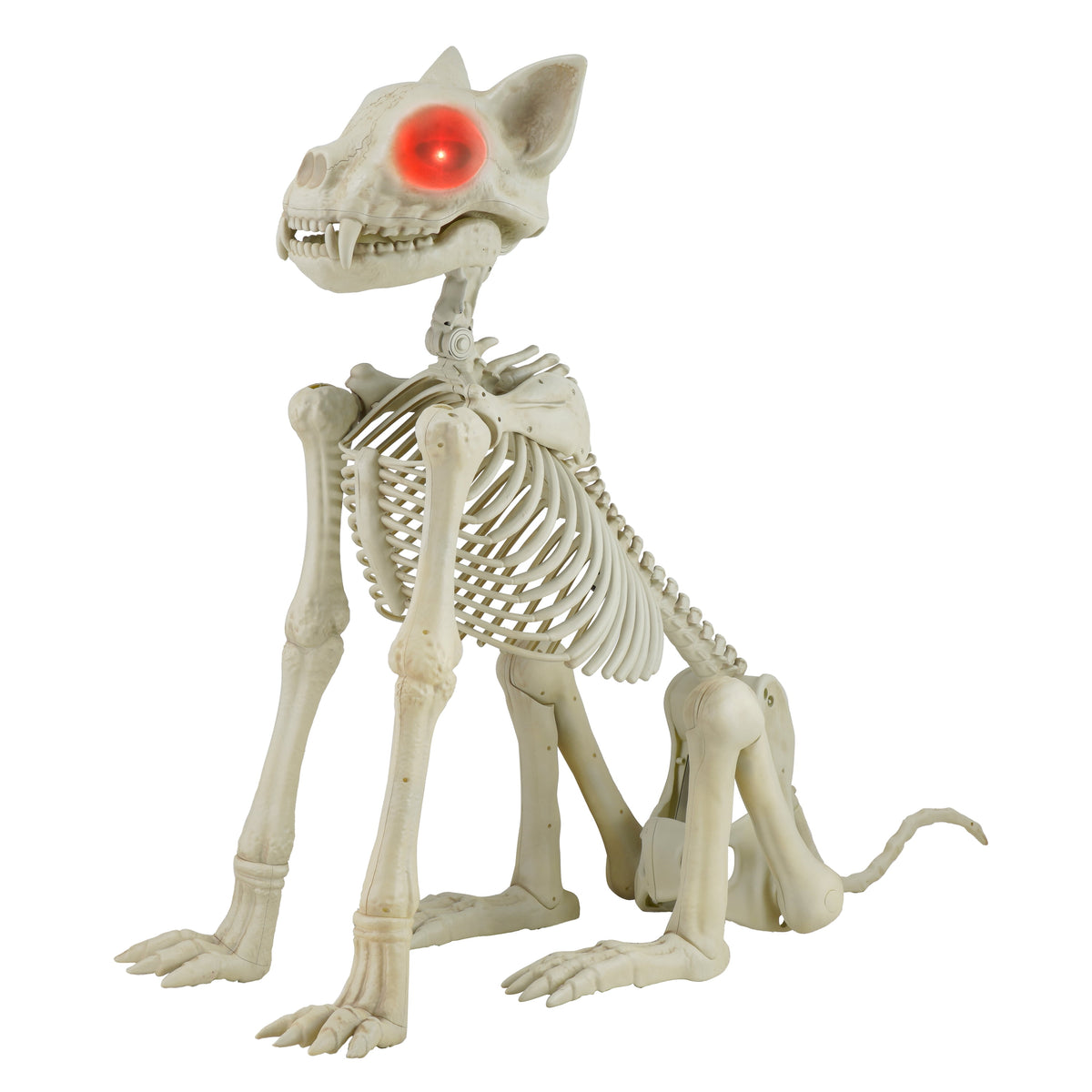 Haunt & Co Beige Plastic Animated Skeleton Cat, 60-inch