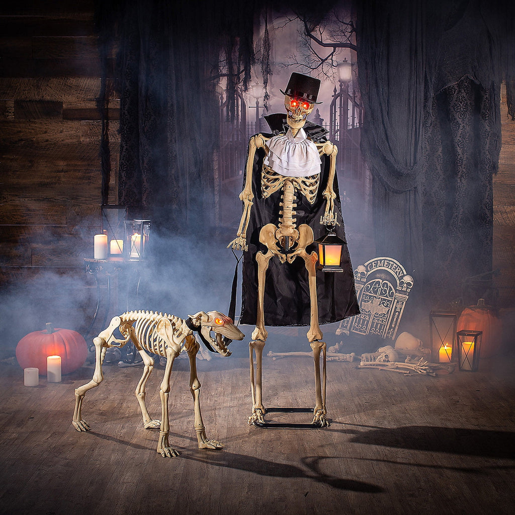 Haunt & Co Fun Express Outdoor Animated Skeleton with Sound-Activated Light-Up Dog , 5ft & 3ft