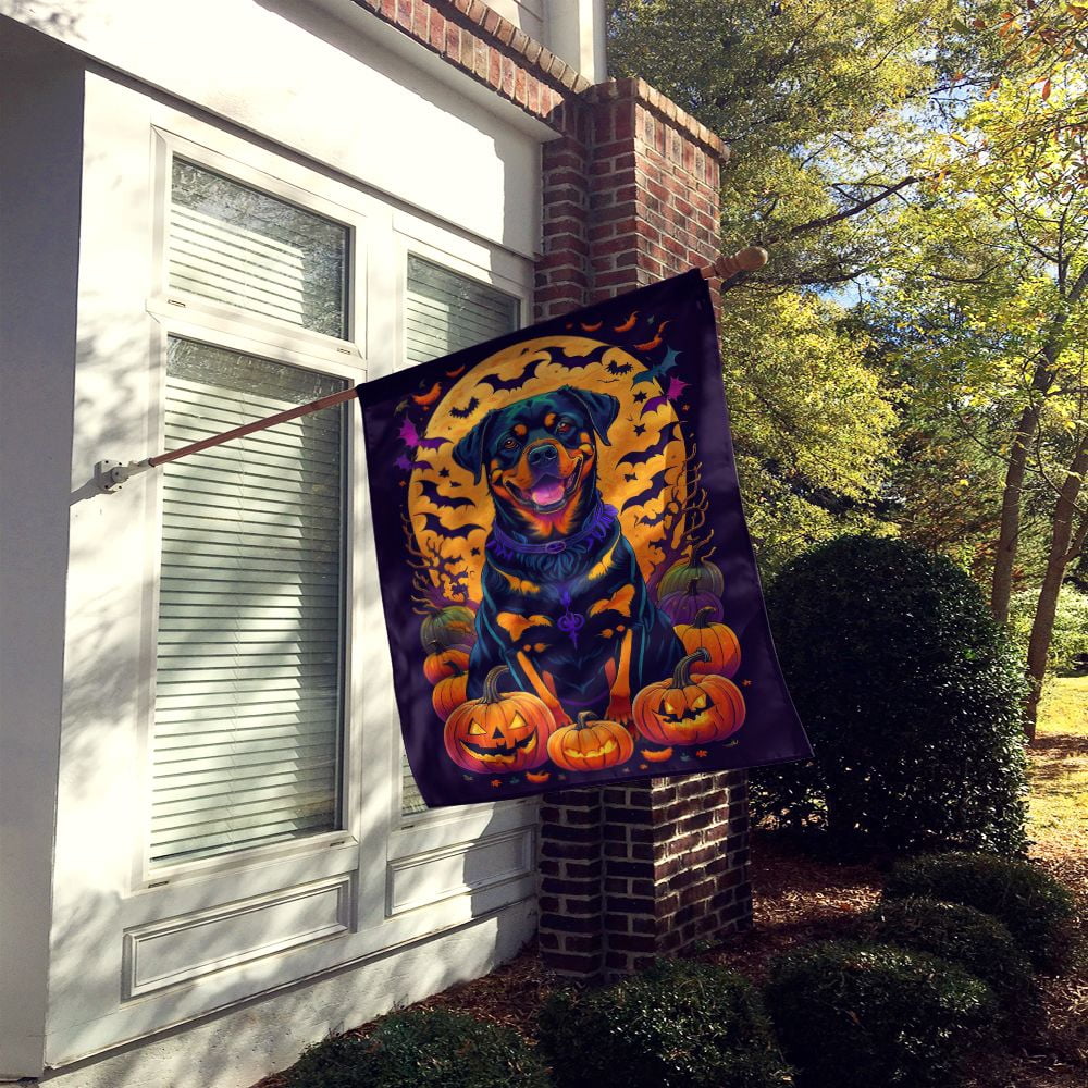 Haunt & Co Halloween Italian Greyhound Dog House Flag 28x40IN Double-Sided Polyester Decorative Sleeve Pole Flag