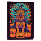 Haunt & Co Halloween Boykin Spaniel Dog House Flag 28x40IN Double-Sided Polyester Decorative Sleeve Pole Flag