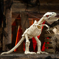 Haunt & Co 15 1/2" Animated Light-Up Tyrannosaurus Rex Skeleton - One Size