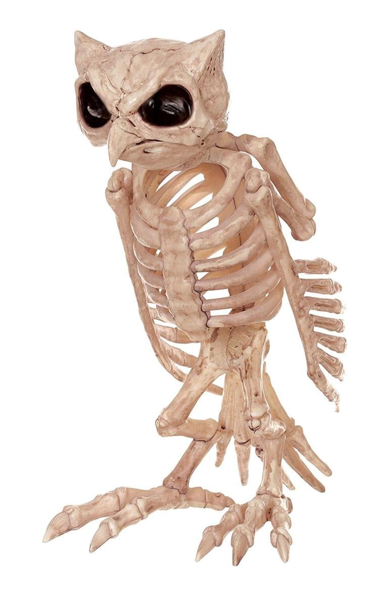 Haunt & Co USA Owl Skeleton - 13.5 in