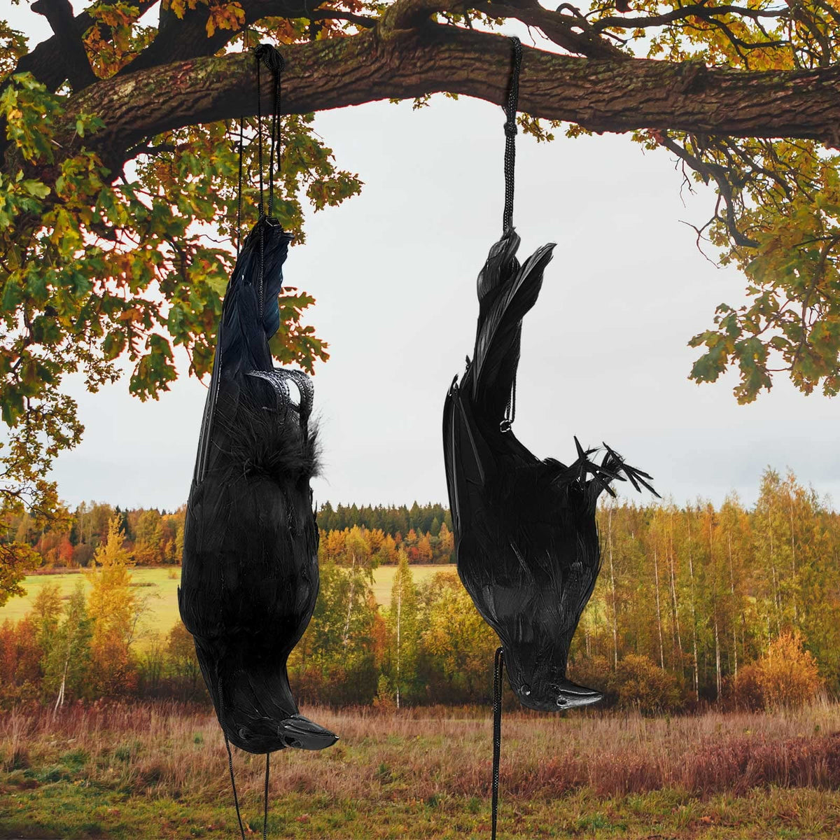 Haunt & Co Halloween Realistic Hanging Dead Crows Decoy Fake Crows for Halloween Garden Tree Porch Terrify Decorations