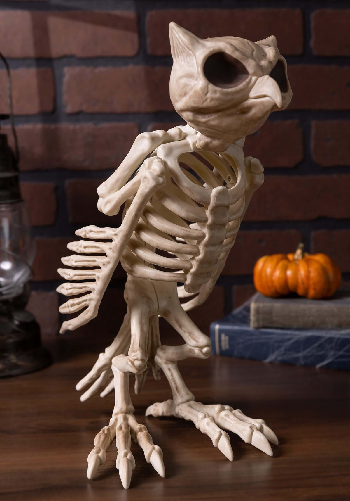 Haunt & Co USA Owl Skeleton - 13.5 in