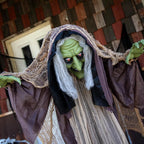 Haunt & Co 43 1/4" x 4 Ft. 9" Light-Up Hunchback Witch Standing