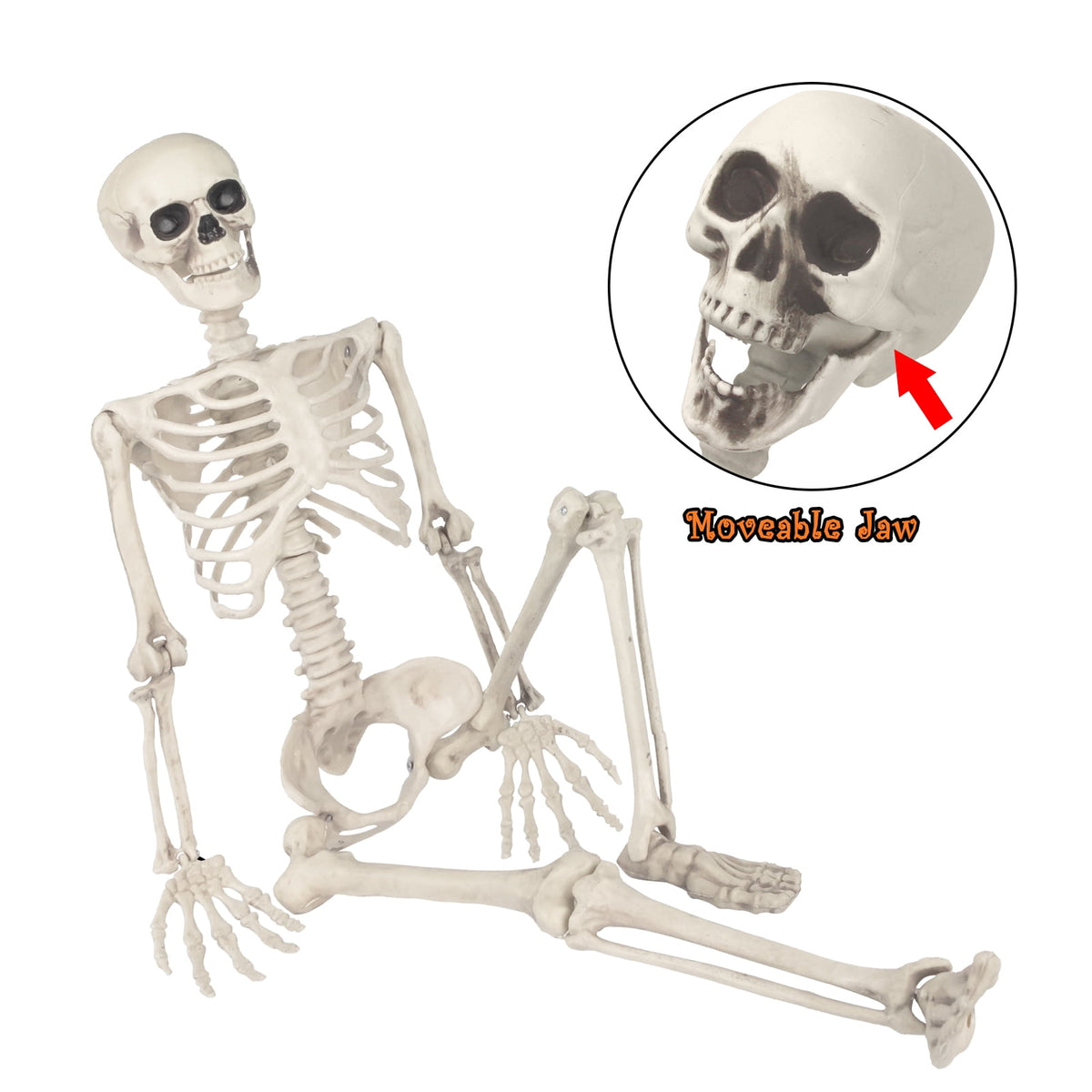 Haunt & Co OZMI Halloween Skeleton Decoration for Haunted House, 38 Inch Full Body Plastic Skull Skeleton with Posable Joints