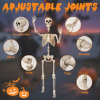 Haunt & Co 5.4 ft Halloween skeleton decoration, with movable joints, flexible skeleton for poses, scary skeleton suitable