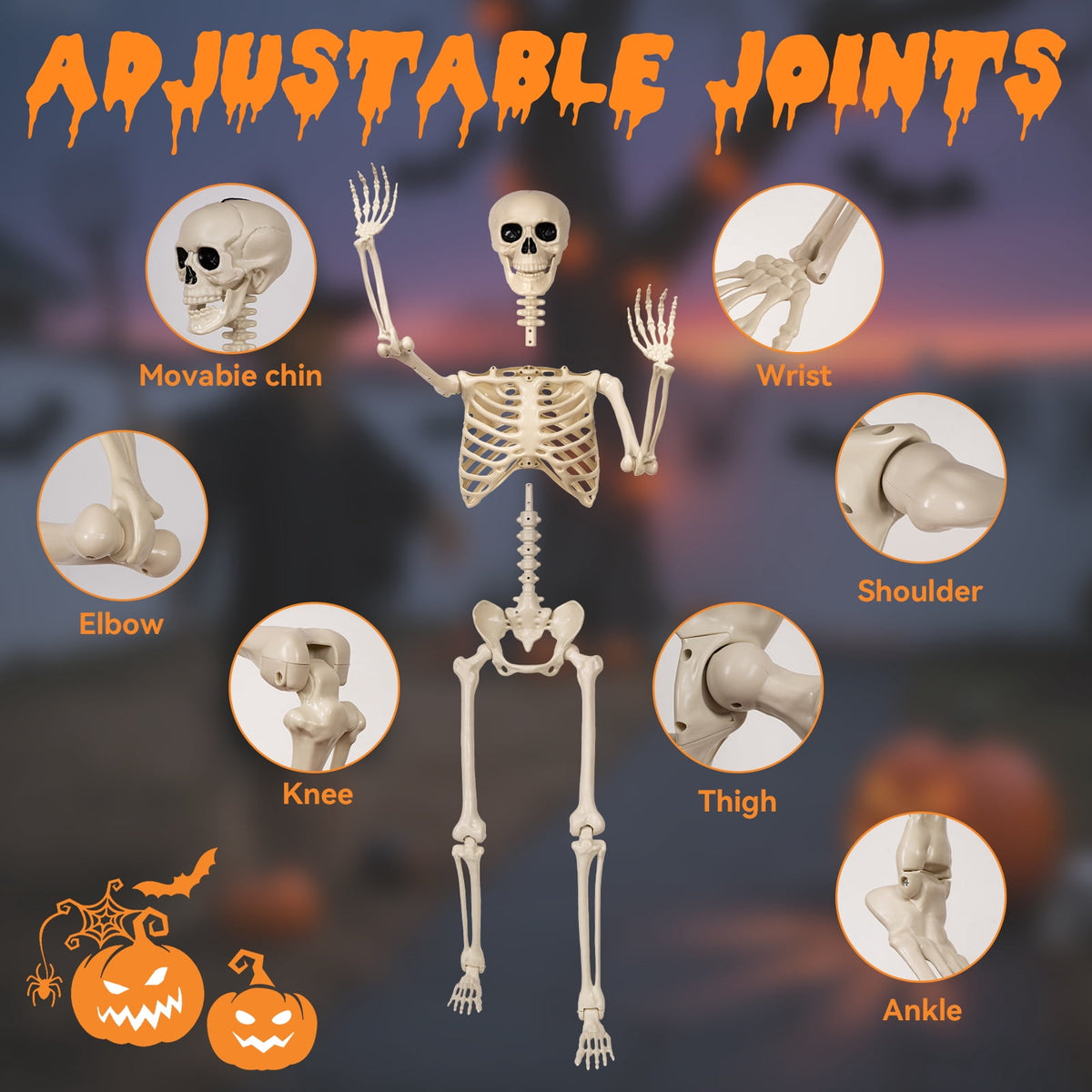 Haunt & Co 5.4 ft Halloween skeleton decoration, with movable joints, flexible skeleton for poses, scary skeleton suitable