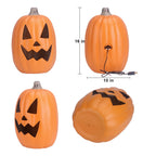Haunt & Co 16in Pre-lit Halloween Pumpkin Jack O' Lantern with Bulbs
