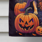 Haunt & Co Halloween Pug Dog House Flag 28x40IN Double-Sided Polyester Decorative Sleeve Pole Flag