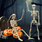 Haunt & Co 35" Halloween Skeleton Decoration - 3 ft Body with Posable Joints