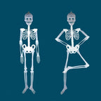 Haunt & Co Deago 4 Pack Halloween Hanging Luminous Skeleton Decorations 5 Ft Full Body Glow-in-The-Dark Poseable Skeleton for Outdoor Yard Garden Hanging Halloween Props