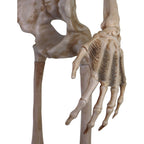 Haunt & Co 8 ft Tall Motion-Activated Towering Skeleton, Premium Talking Halloween Animatronic Decoration, Plug-In