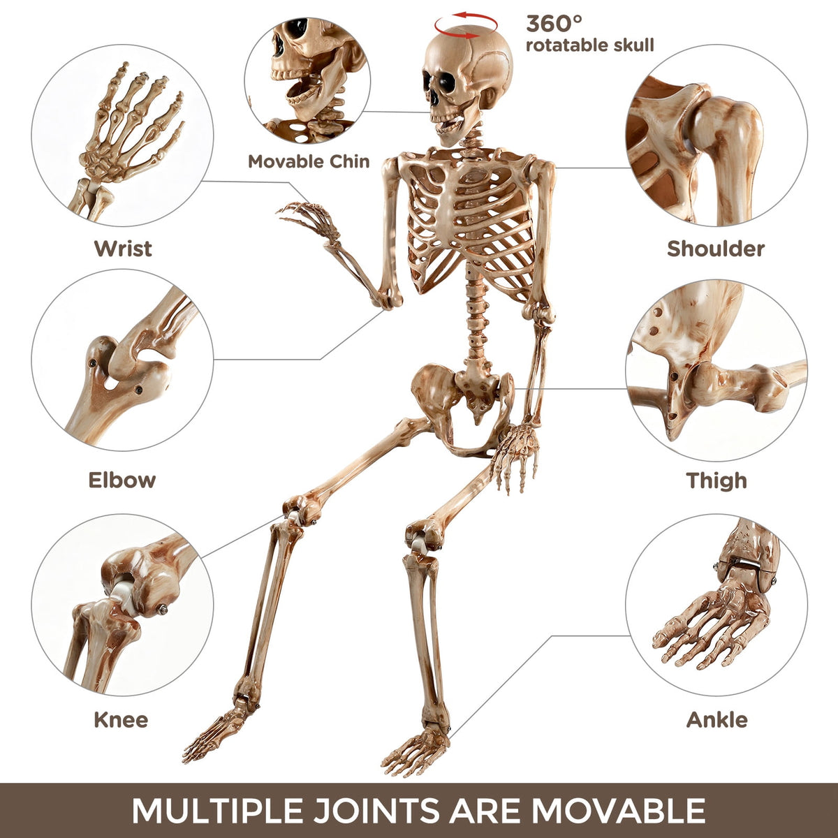 Haunt & Co 5.4ft Halloween Skeleton Decorations, Weathered Posable Skeleton Decor for Outdoor Indoor