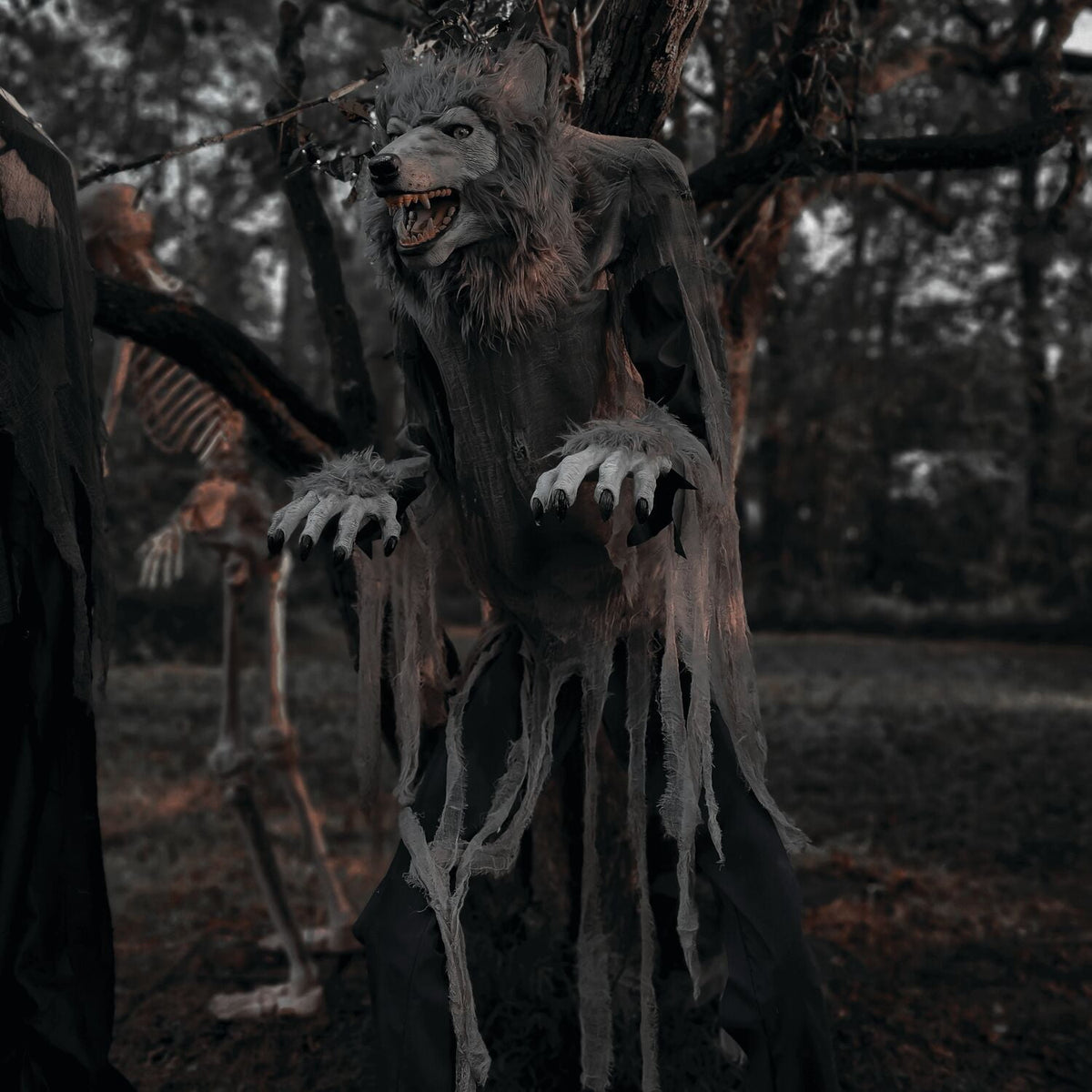 Haunt & Co 7 ft Tall Motion-Activated Towering Werewolf, Premium Halloween Animatronic, Plug-In