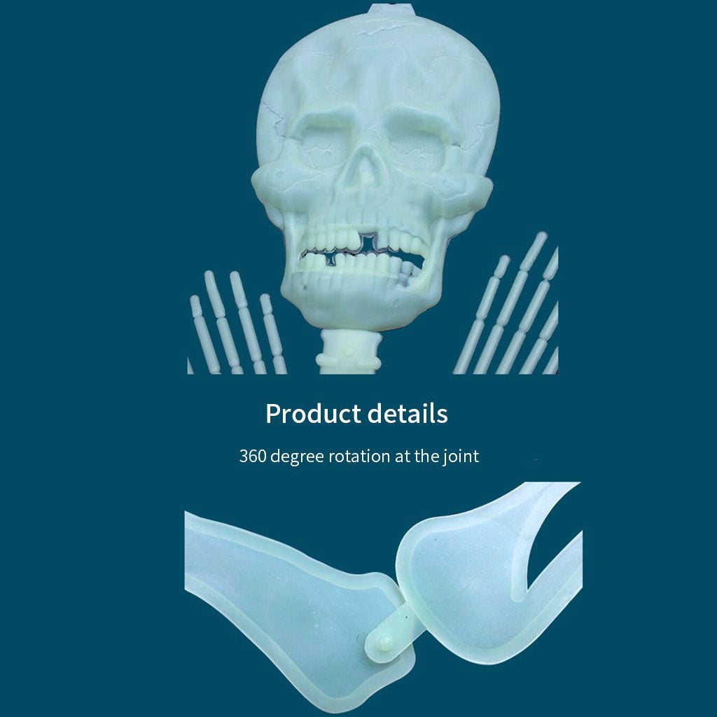 Haunt & Co Deago 4 Pack Halloween Hanging Luminous Skeleton Decorations 5 Ft Full Body Glow-in-The-Dark Poseable Skeleton for Outdoor Yard Garden Hanging Halloween Props