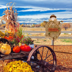 Haunt & Co Fall Scarecrow Yard Stake with LED Lights Happy Fall Ya'll Scarecrow Garden Stake Autumn Harvest Halloween Thanksgiving Outdoor Yard Decorations