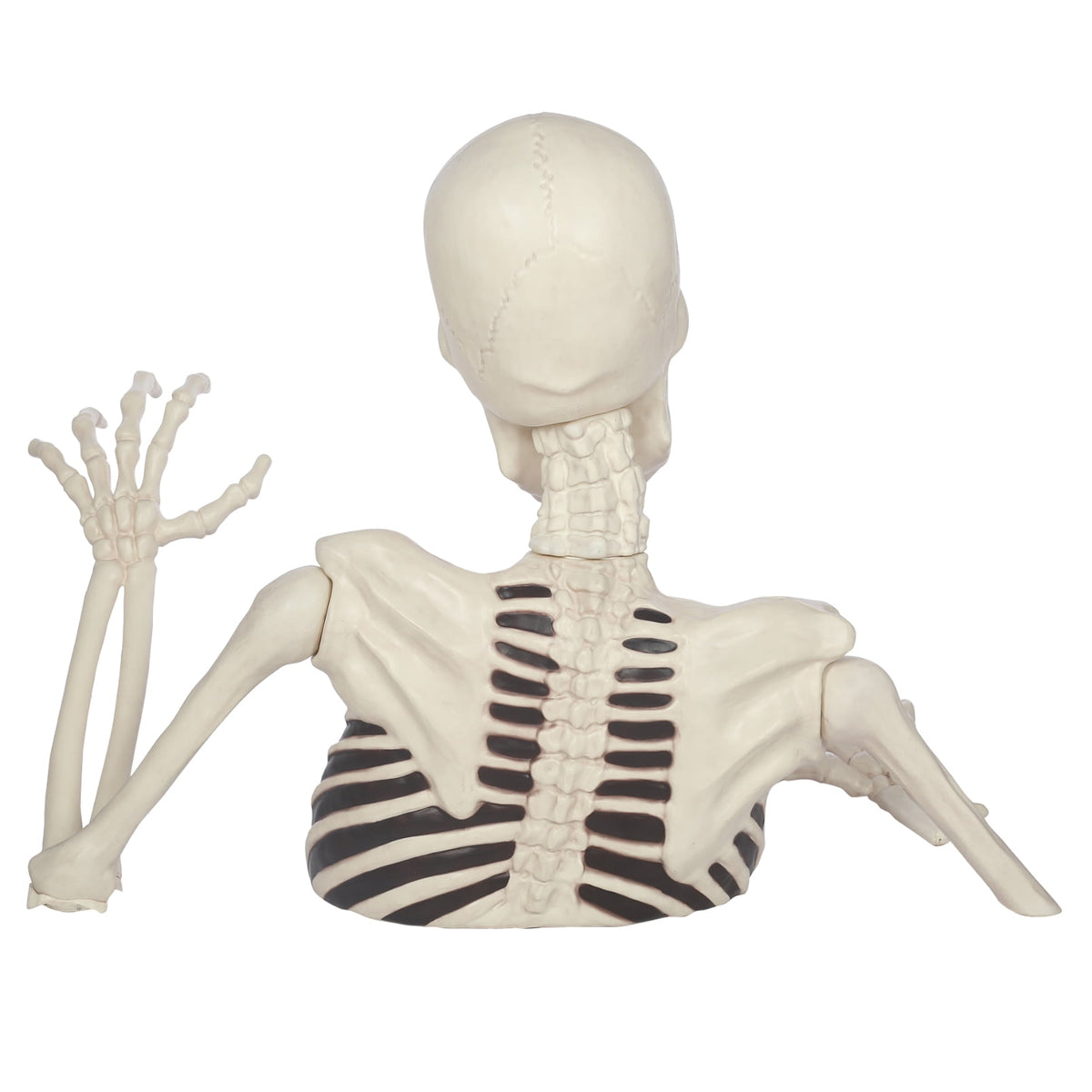Haunt & Co 35" Halloween Giant Groundbreaker Skeleton