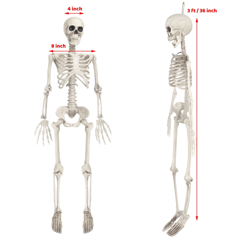 Haunt & Co OZMI Halloween Skeleton Decoration for Haunted House, 38 Inch Full Body Plastic Skull Skeleton with Posable Joints