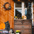 Haunt & Co PMU Halloween Black Cat - Blow Mold Plastic Cat Statue - Perfect Décor for Halloween, Home, Yard, Lawn, Garden, Indoor and Outdoor - Best
