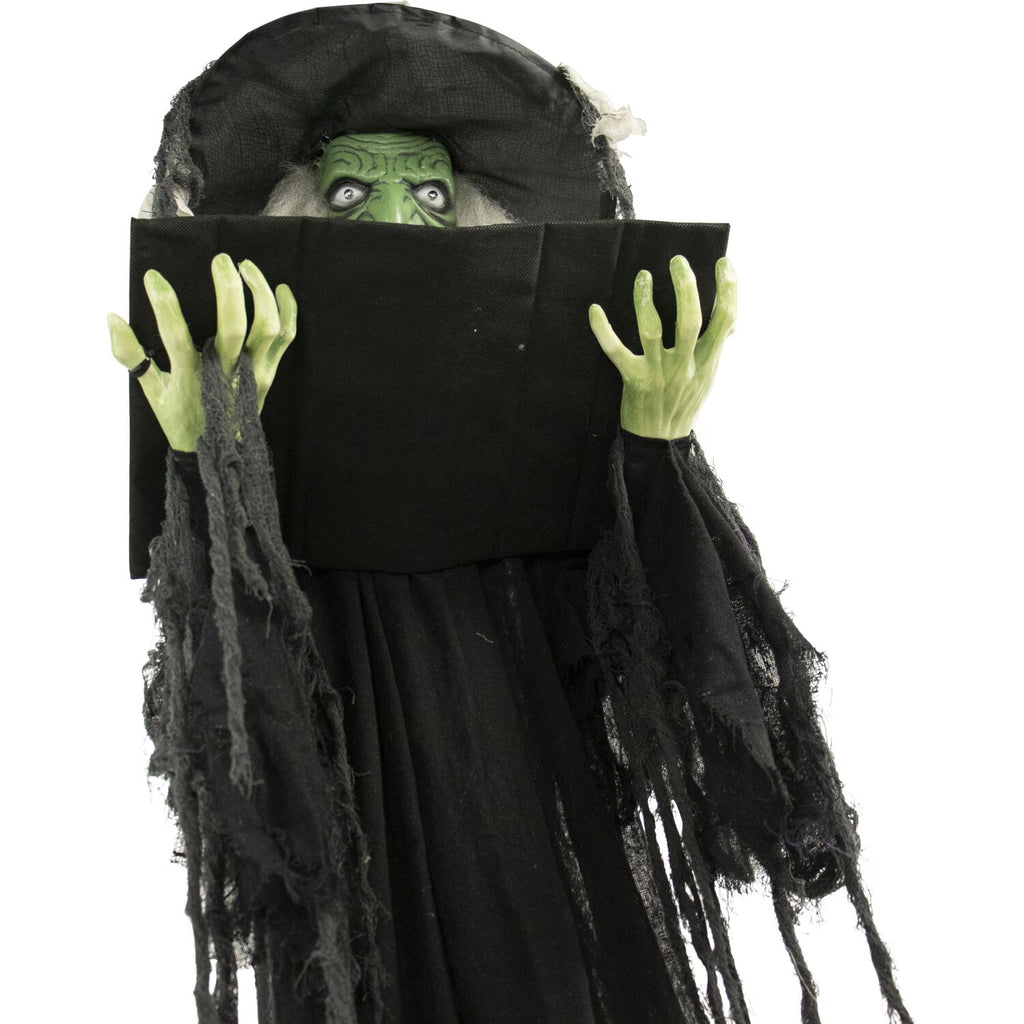 Haunt & Co 5.5 ft Poseable Witch with Spell Book, Lights and Sound, Indoor/Covered Outdoor