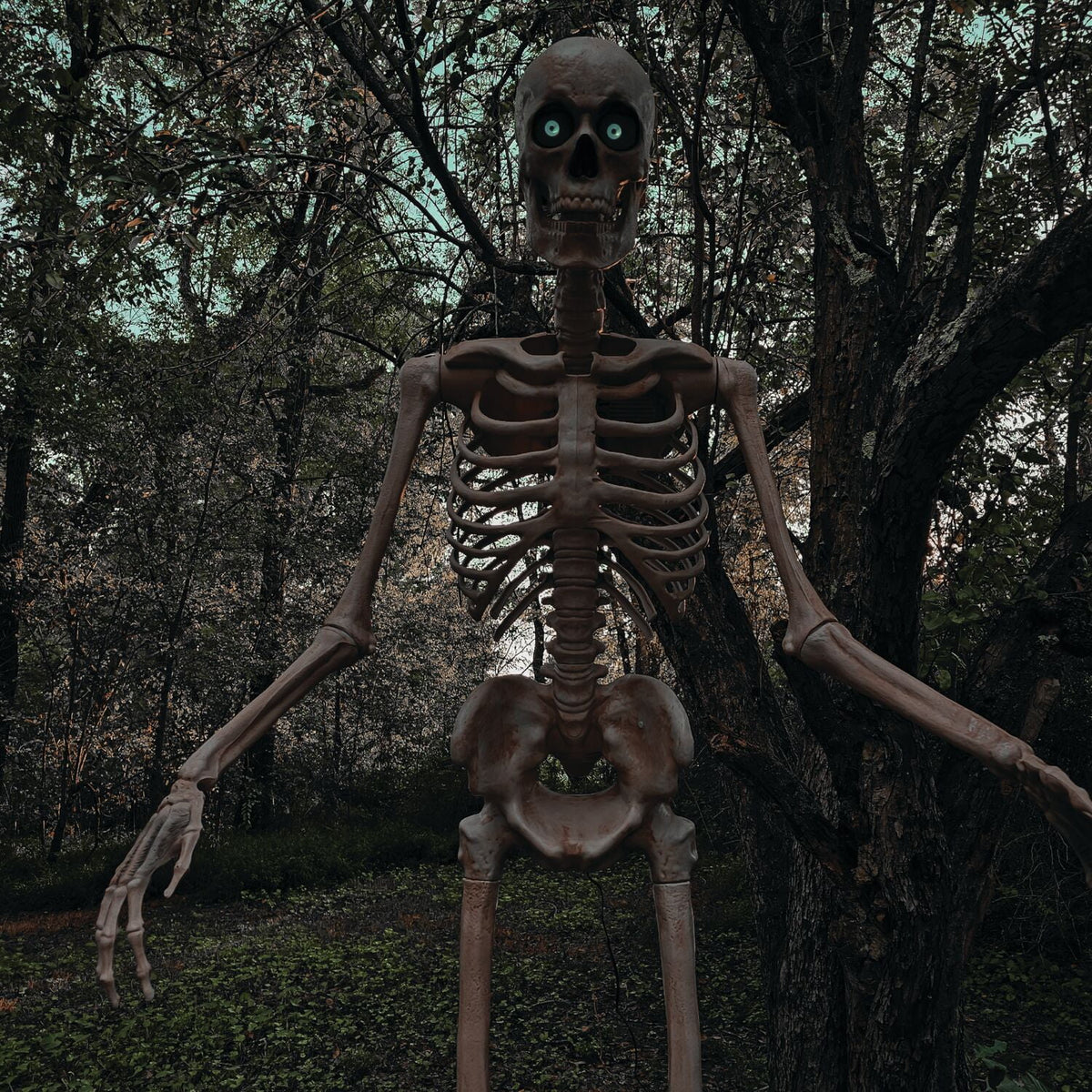 Haunt & Co 8 ft Tall Motion-Activated Towering Skeleton, Premium Talking Halloween Animatronic Decoration, Plug-In