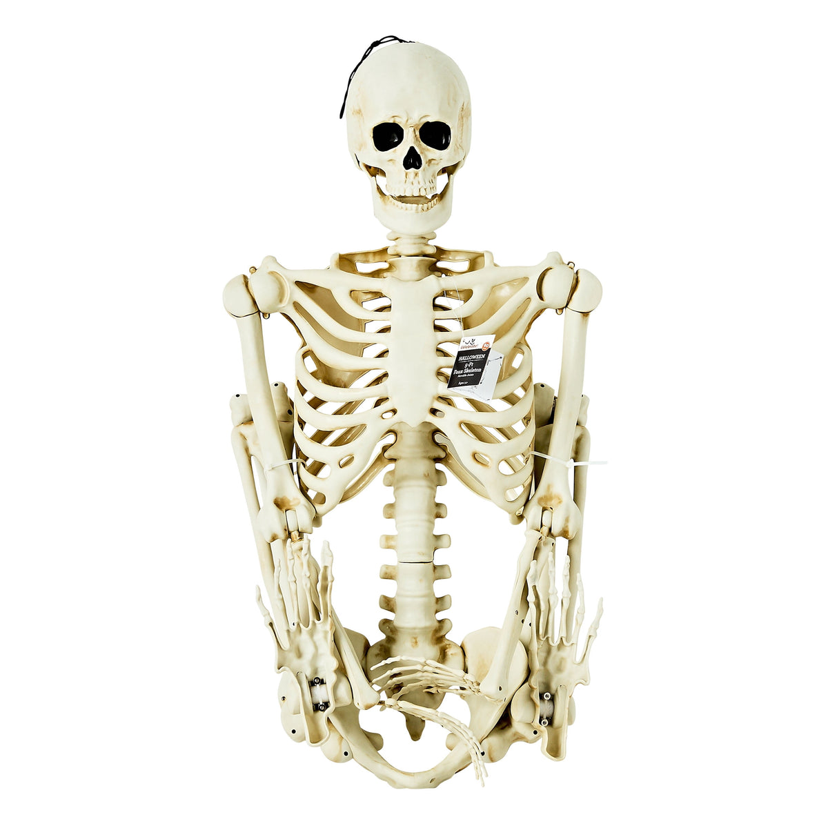 Haunt & Co Hanging Posable Skeleton Decoration, White, 5', Halloween