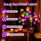 Haunt & Co 2 packs 40 LED Solar Halloween Lights, 2 Modes Halloween Bats Spiders Pumpkin Lights