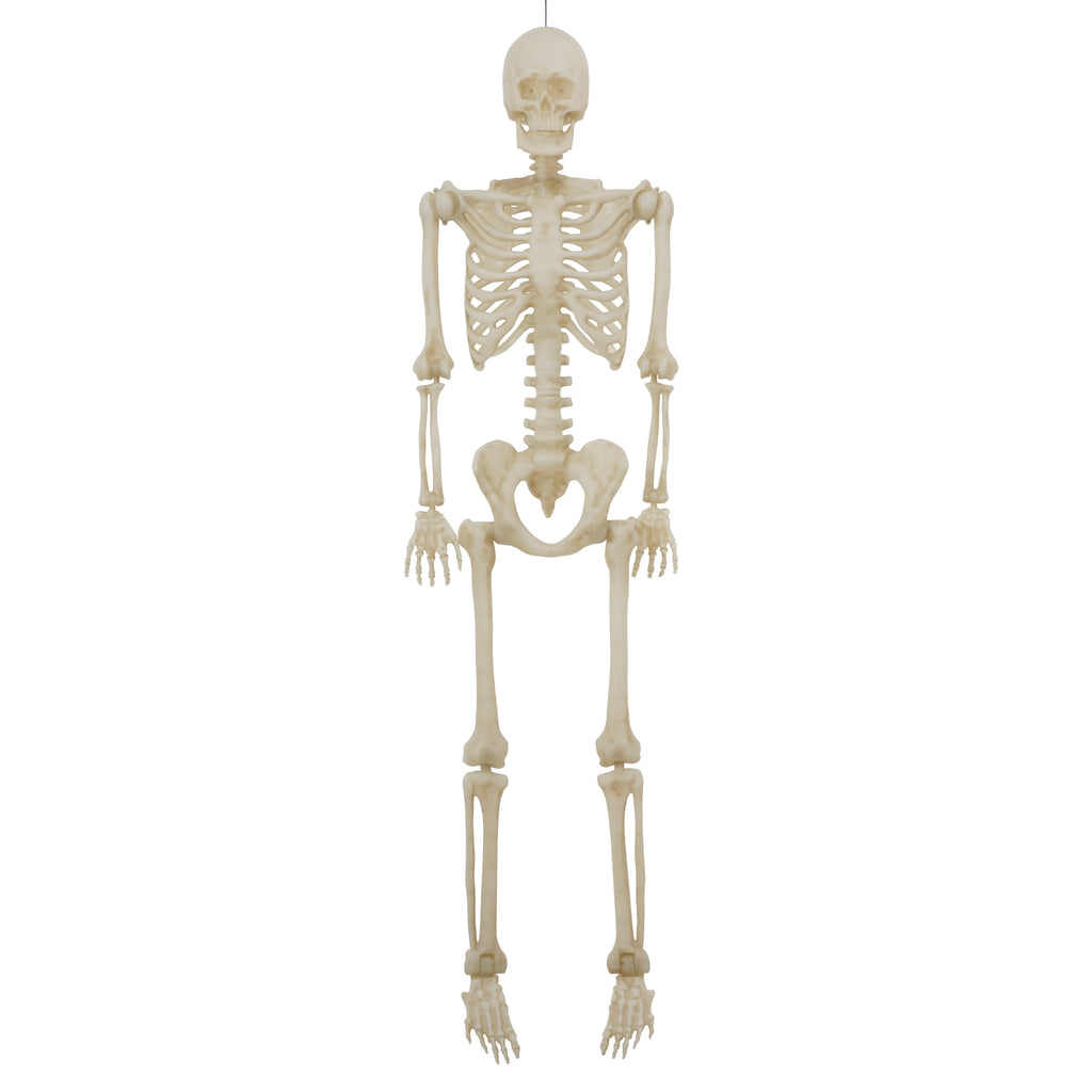 Haunt & Co 5-foot Poseable LED Illuminated Skeleton