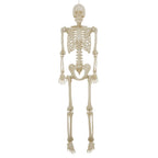 Haunt & Co 5-foot Poseable LED Illuminated Skeleton