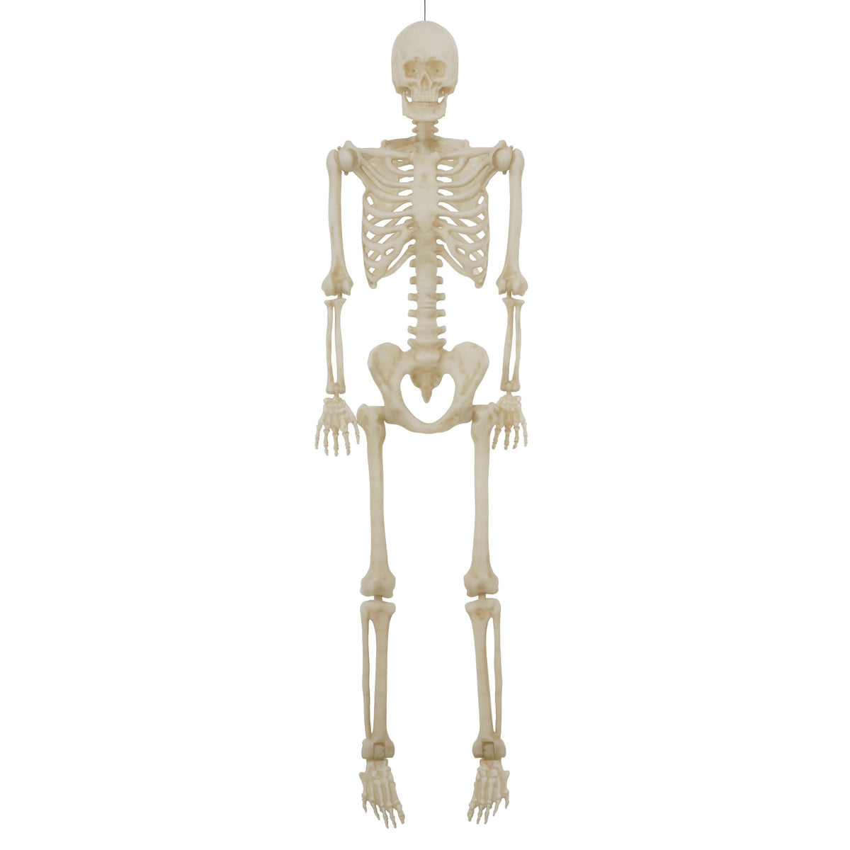 Haunt & Co 5-foot Poseable LED Illuminated Skeleton
