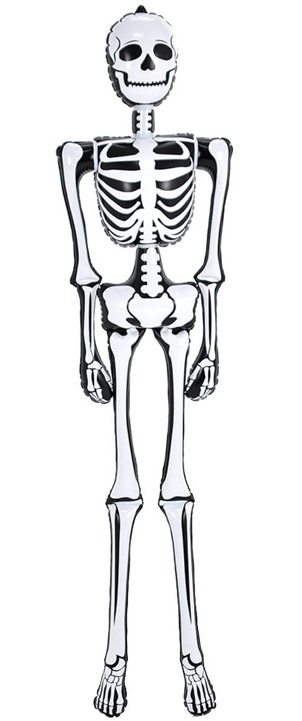 Haunt & Co 6' Inflatable Skeleton
